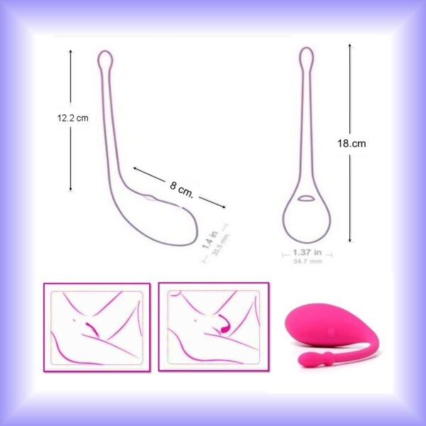 Huevito Vibrador LUSH LOVENSE 1 - Imagen 2