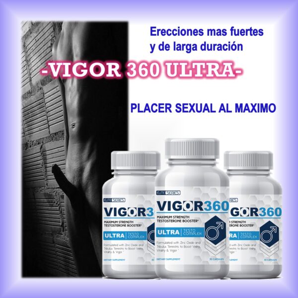 VIGOR 360 Suplemento